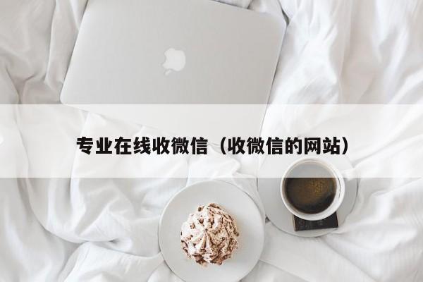 专业在线收微信（收微信的网站）